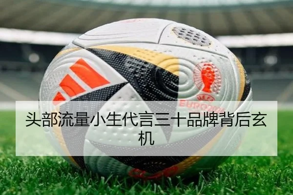 头部流量小生代言三十品牌背后玄机